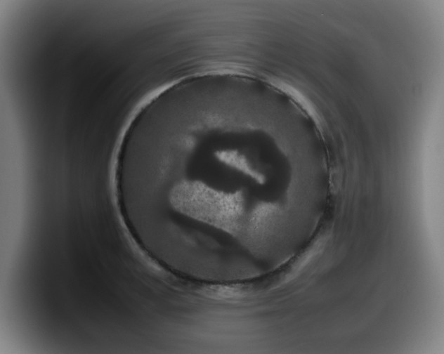 X0000099940995200805301213