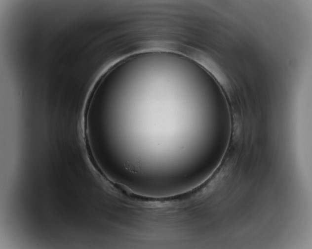 X0000099940996200805301213