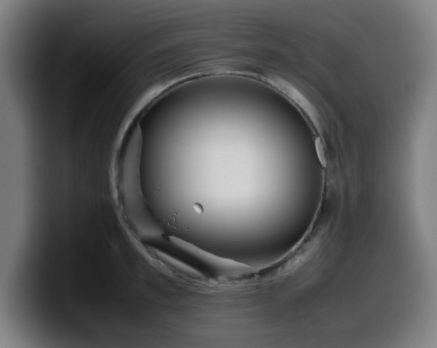 X0000099940997200805301213