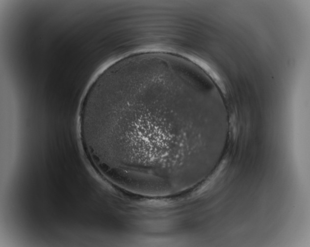 X0000099940998200805301213