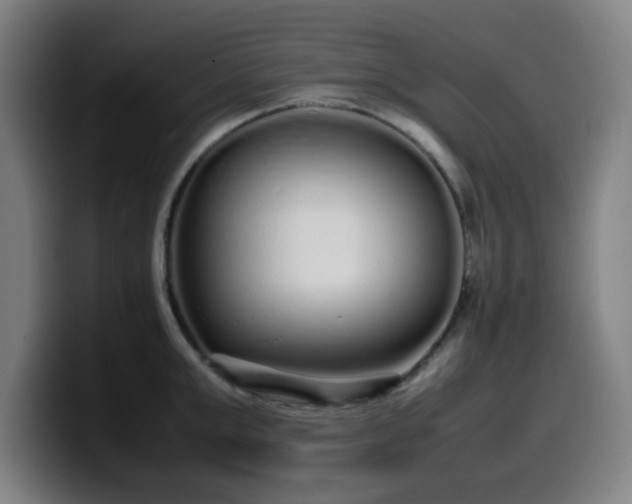 X0000099940999200805301213