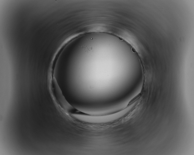 X0000099941000200805301213