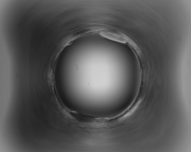 X0000099941001200805301213