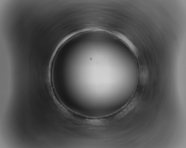 X0000099941004200805301213