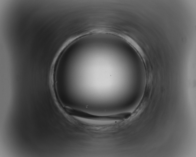 X0000099941005200805301213