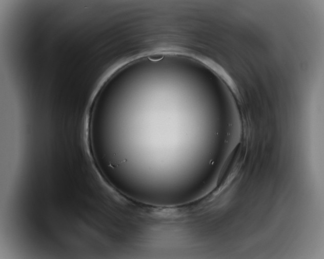 X0000099941006200805301213