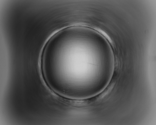 X0000099941007200805301213