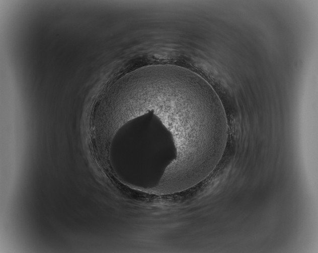 X0000099941009200805301213