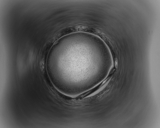 X0000099941011200805301213