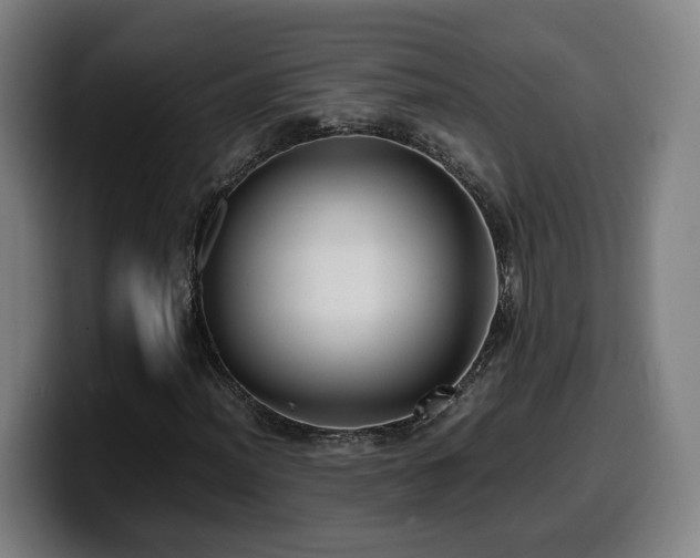 X0000099941012200805301213