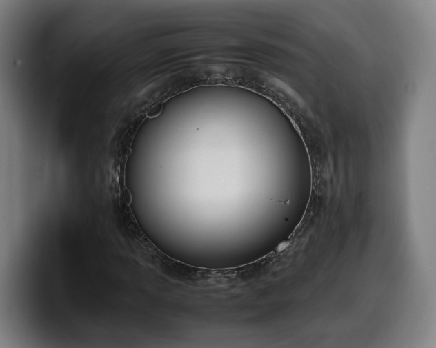 X0000099941013200805301213
