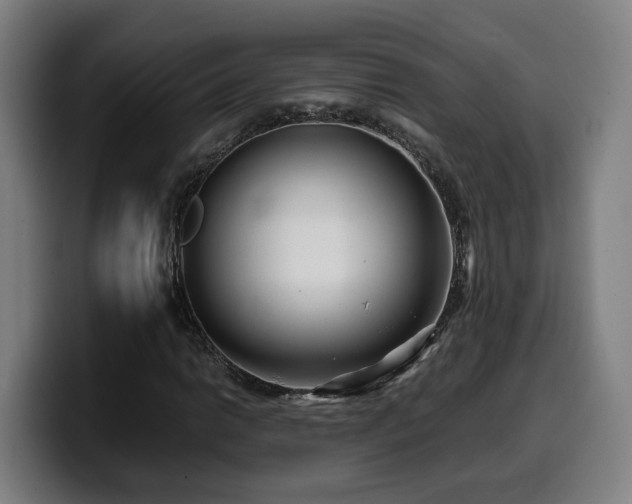 X0000099941014200805301213