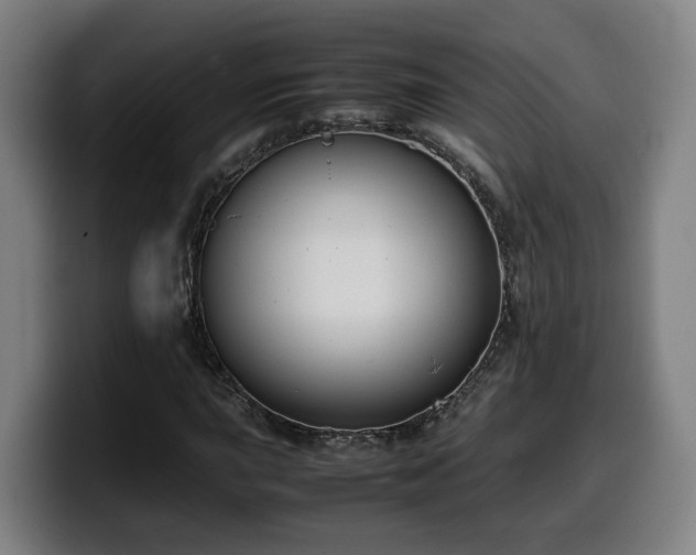 X0000099941015200805301213