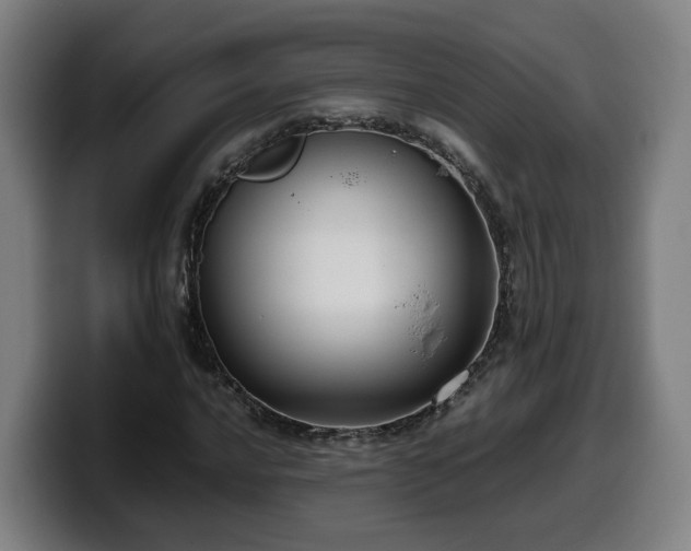 X0000099941016200805301213