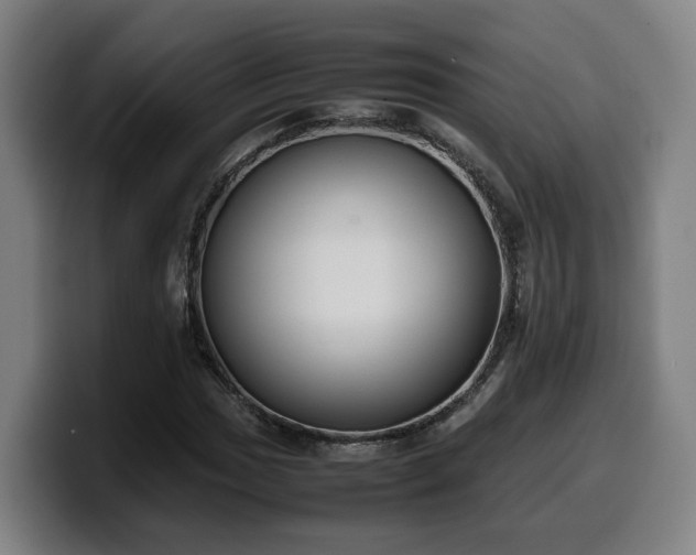 X0000099941017200805301213