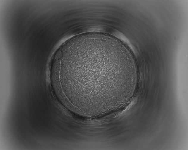X0000099941019200805301213