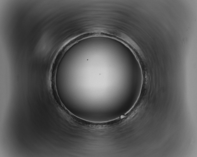 X0000099941020200805301213