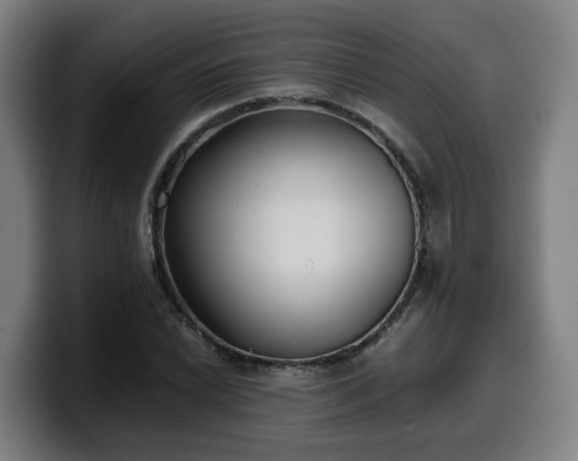 X0000099941022200805301213