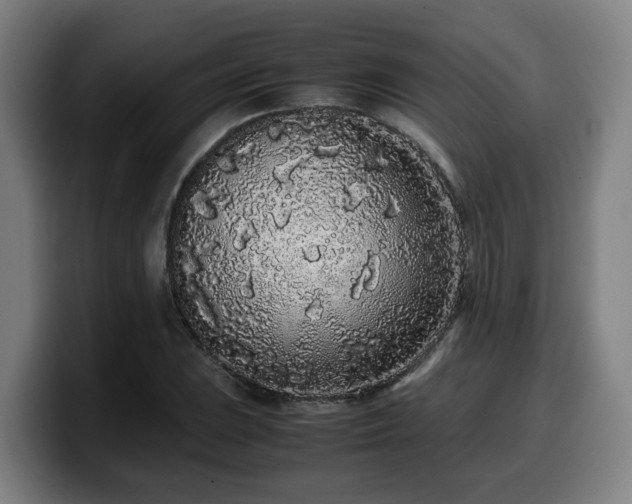 X0000099941023200805301213