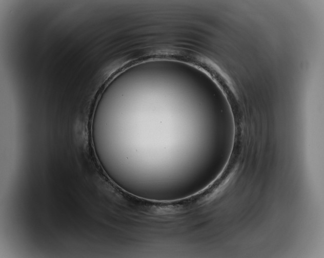 X0000099941025200805301213
