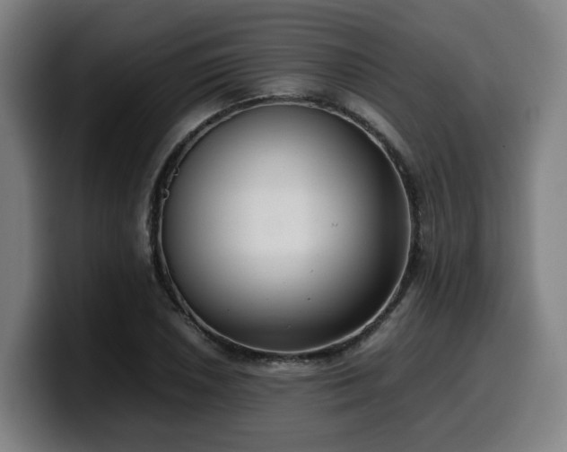 X0000099941026200805301213