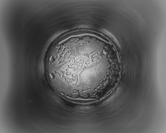 X0000099941027200805301213