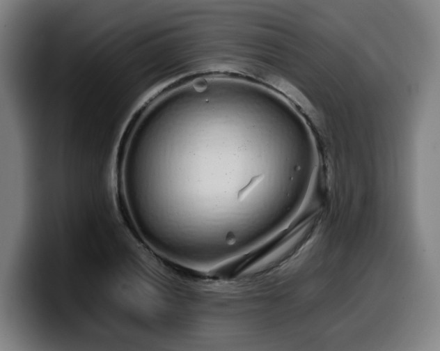 X0000099941028200805301213
