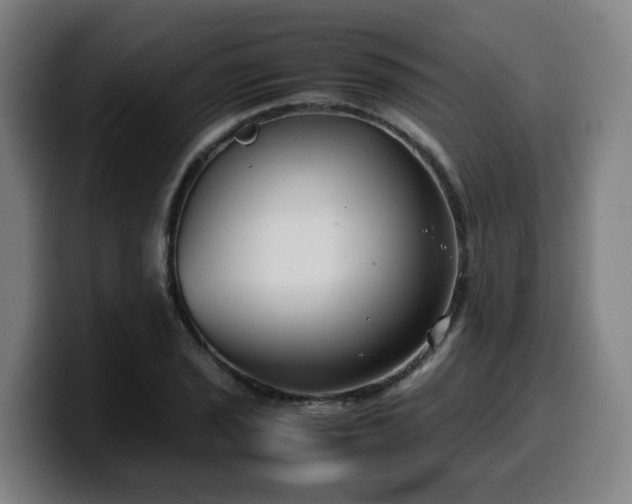 X0000099941029200805301213