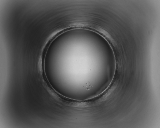X0000099941030200805301213
