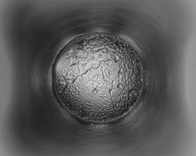 X0000099941031200805301213
