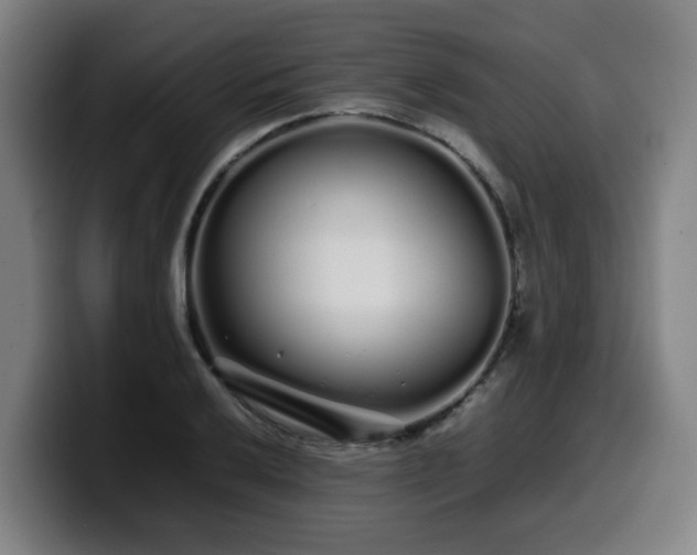 X0000099941032200805301213