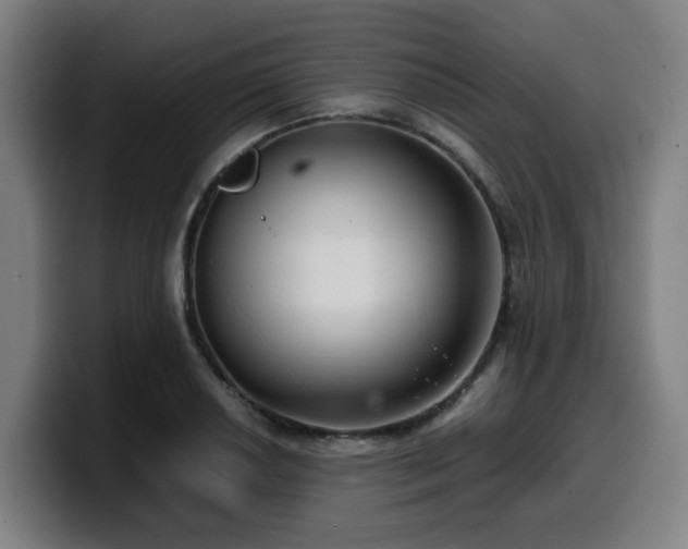 X0000099941034200805301213