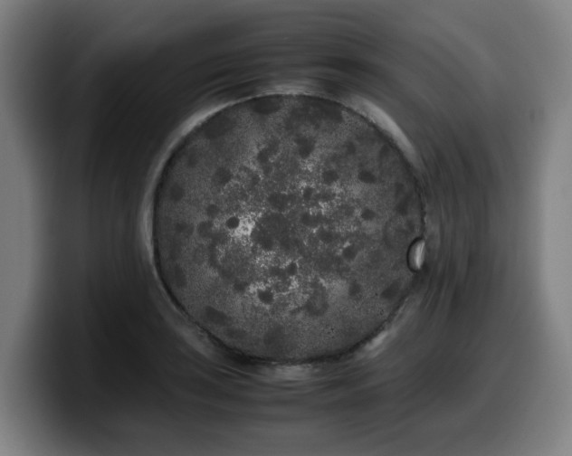 X0000099941035200805301213