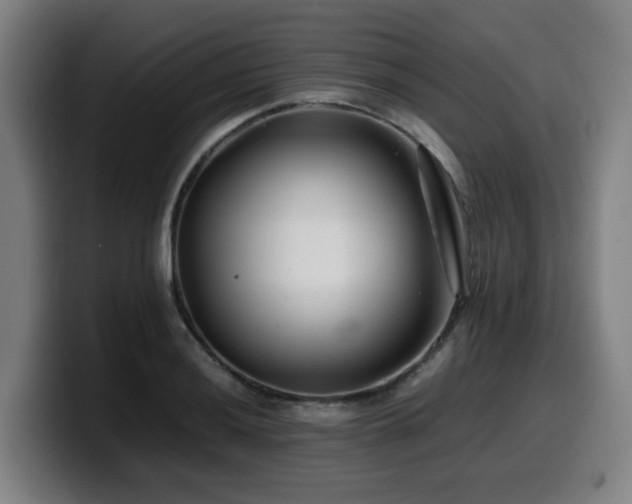 X0000099941036200805301213