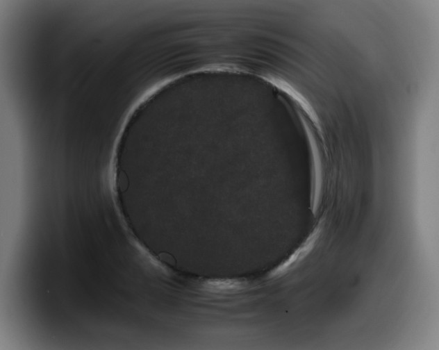 X0000099941037200805301213
