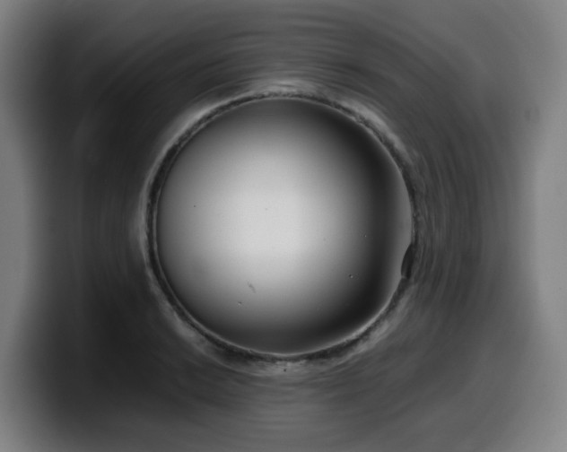 X0000099941038200805301213