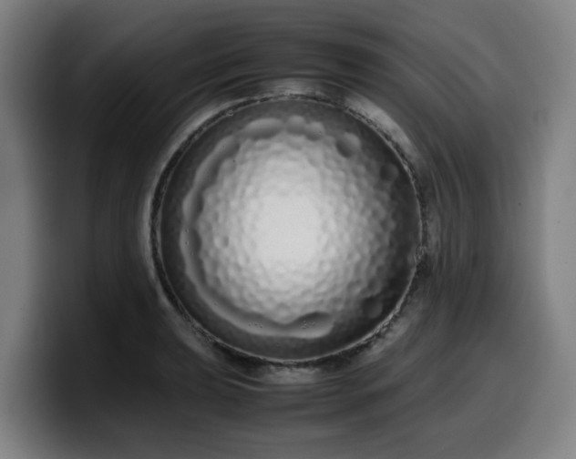 X0000099941039200805301213