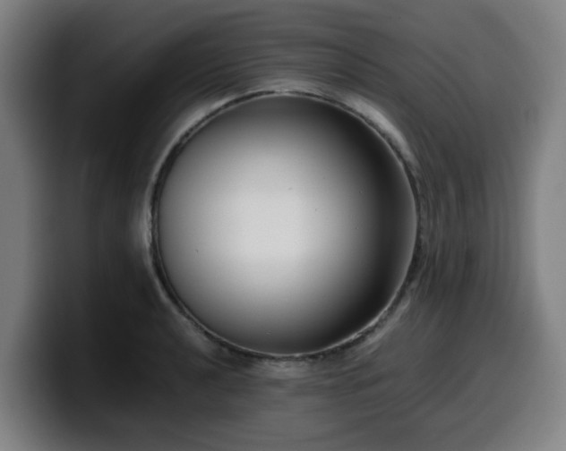 X0000099941040200805301213