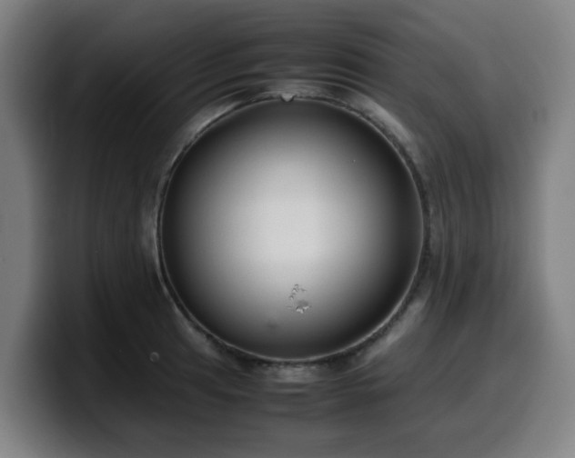 X0000099941041200805301213