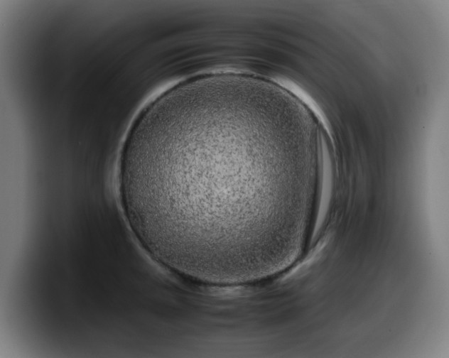 X0000099941045200805301213