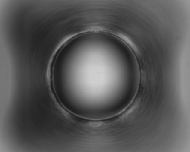 X0000099941046200805301213