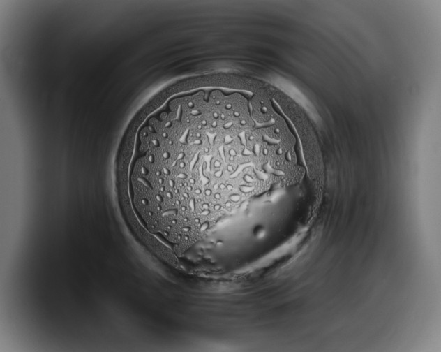 X0000099941047200805301213