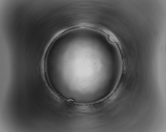 X0000099941048200805301213