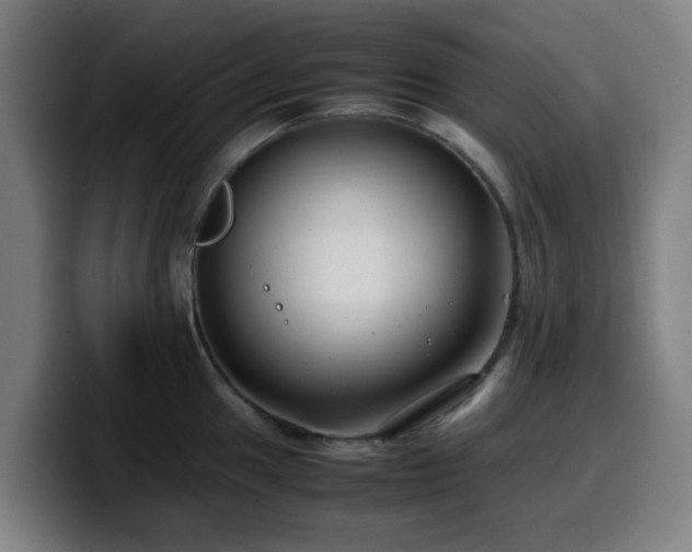X0000099941049200805301213