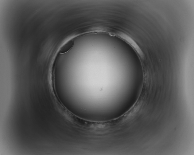 X0000099941051200805301213