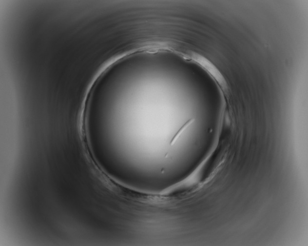 X0000099941052200805301213