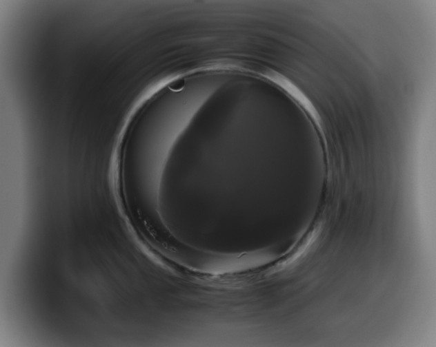 X0000099941053200805301213
