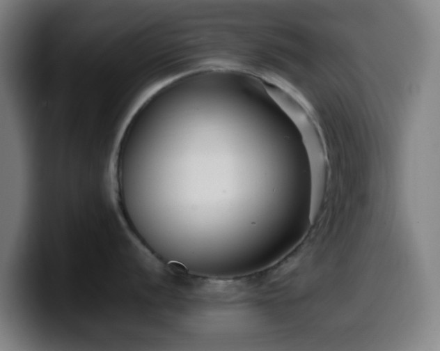 X0000099941056200805301213