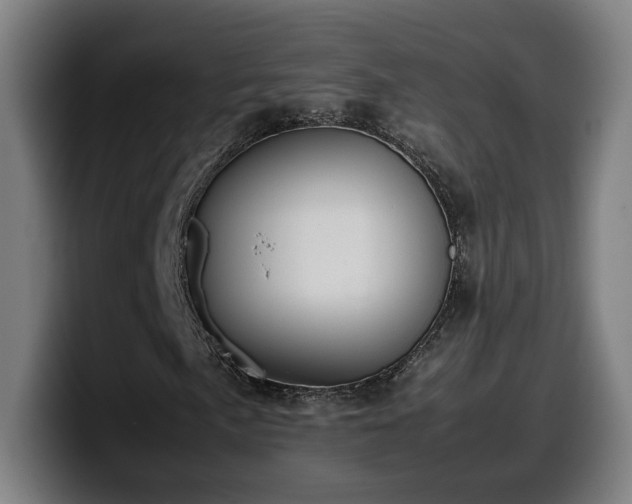 X0000099941057200805301213