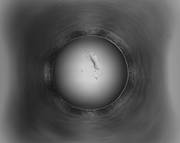 X0000099941058200805301213